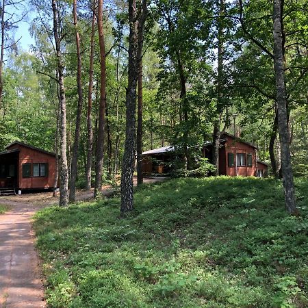 Lesnik Bungalow Stegna - Domki Letniskowe Nad Morzem Dış mekan fotoğraf