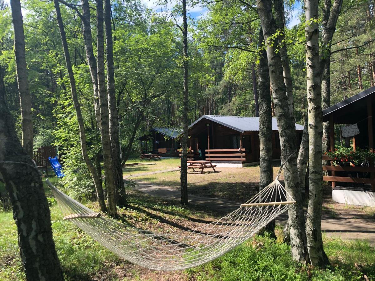 Lesnik Bungalow Stegna - Domki Letniskowe Nad Morzem Dış mekan fotoğraf