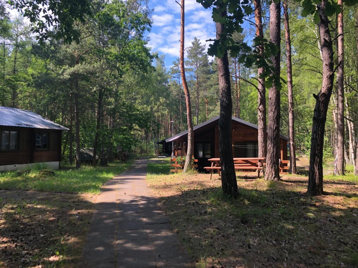 Lesnik Bungalow Stegna - Domki Letniskowe Nad Morzem Dış mekan fotoğraf