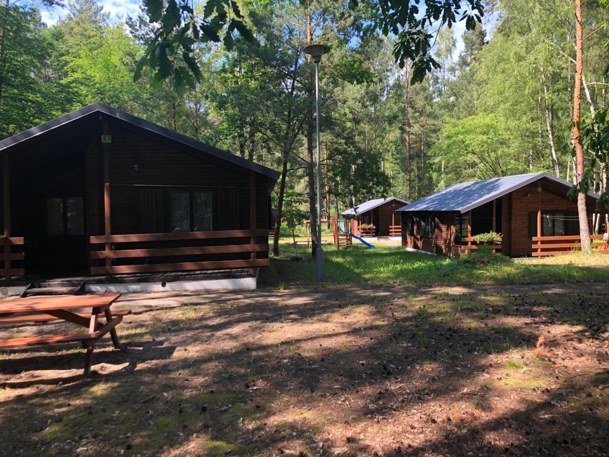 Lesnik Bungalow Stegna - Domki Letniskowe Nad Morzem Dış mekan fotoğraf