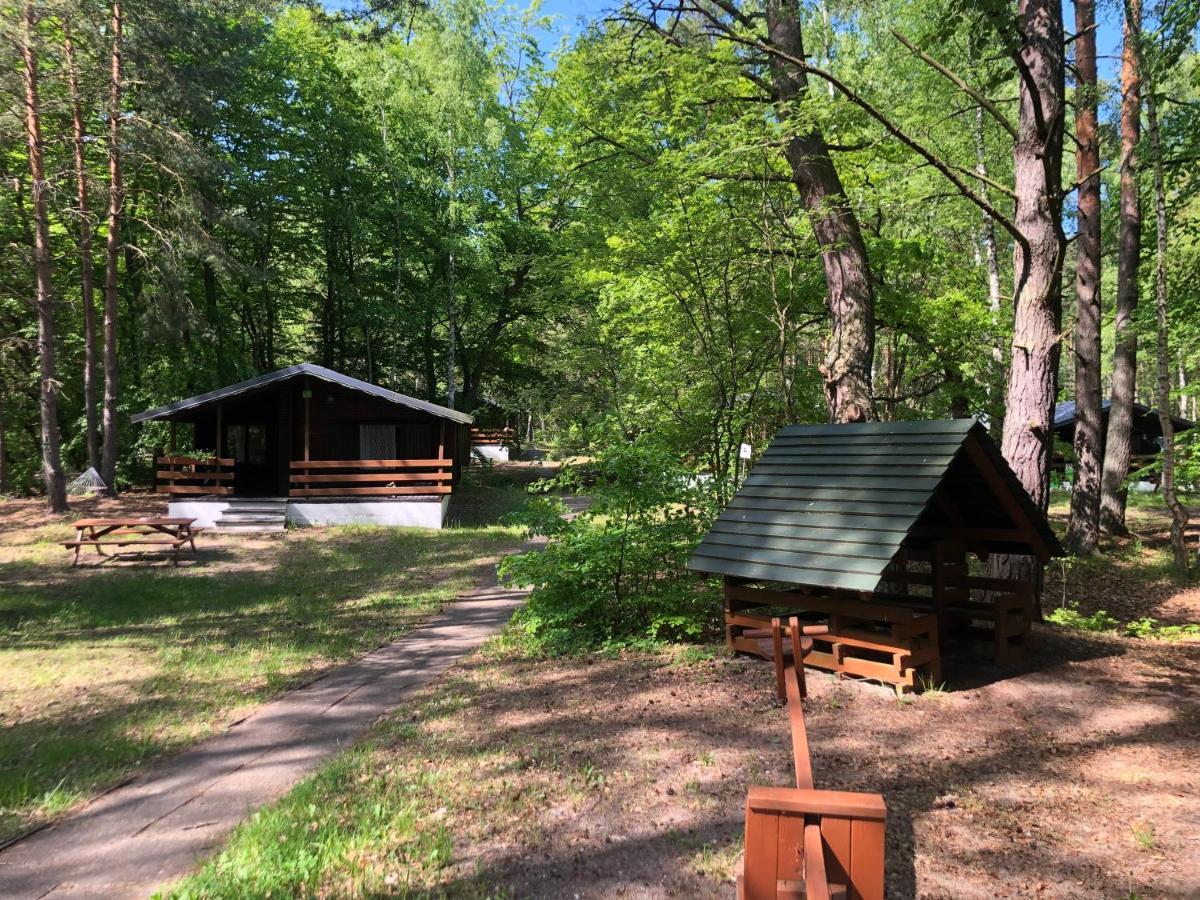 Lesnik Bungalow Stegna - Domki Letniskowe Nad Morzem Dış mekan fotoğraf