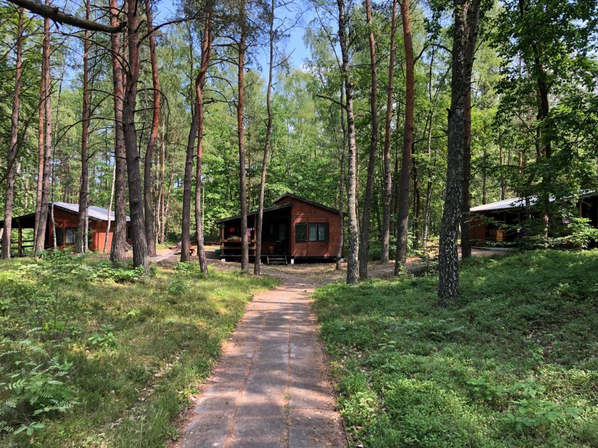 Lesnik Bungalow Stegna - Domki Letniskowe Nad Morzem Dış mekan fotoğraf